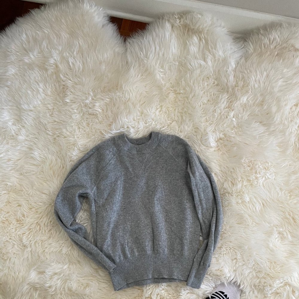 Everlane Cashmere crew neck sweater